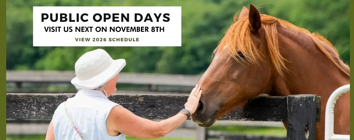 2026 Open Days 2026 Open Days