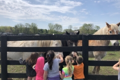 1st Grade Visit 2019_5