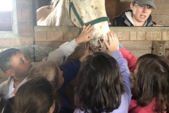 1st Grade Visit 2019_18