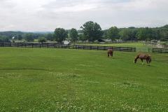 Connor-Jeffrey-Mac-in-field-6-2-2022