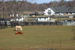 Sanctuary-with-Main-Barn-CLOSEUP-1-March-2024