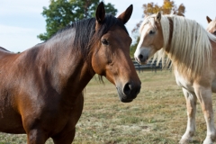 Jasmine and Melanie