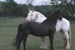 You scratch my back