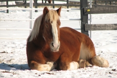 Abby