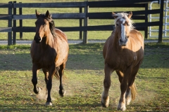 Jasmine and Ella