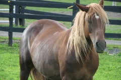 Cindy