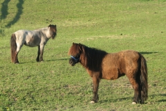 Sonya and Mannie