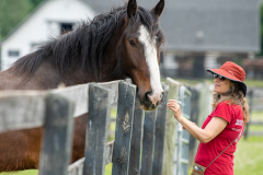 12_Equine_Advocates-69