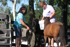 Mary Ann and Fran with Casey, Reggie & Mini Pearl