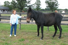Joan & Henry