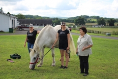 Berkshire Humane Society campers 4