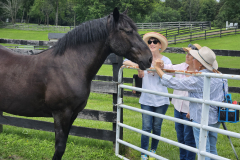 2023-Public-Open-Days_2