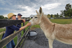 2025-Open-Day-September