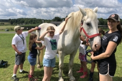 Berkshire Humane Society campers 5