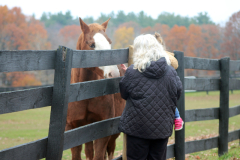 Open-Day-November-2025-3