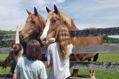 Humane Ed Summer 2022
