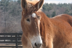 Emma - In Loving Memory