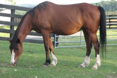 Jeremy - In Loving Memory