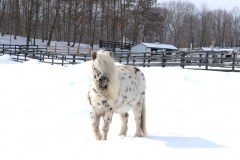 Matt - In Loving Memory