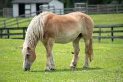 Terry - In Loving Memory