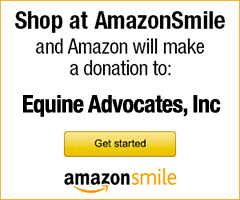 You are currently viewing Support Equine Advocates when you shop Amazon with AmazonSmile