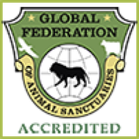 Equine Advocates Receives GFAS Accreditation