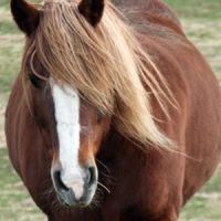 In Loving Memory of Betty