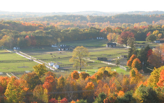 You are currently viewing Video: Chatham, NY – Home to Equine Advocates