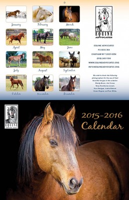 2016 Equine Advocates calendar