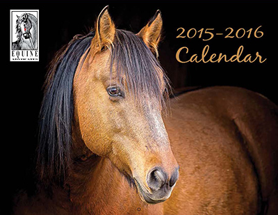 You are currently viewing 2016 Equine Advocates Calendar