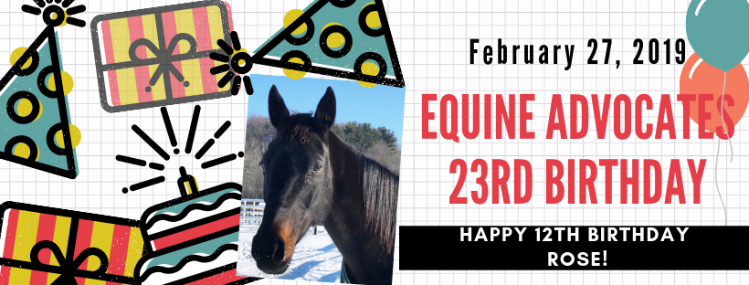 You are currently viewing Equine Advocates Celebrates 23rd Birthday!
