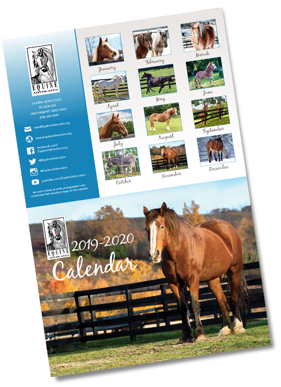 2020 Equine Advocates Calendar Available Now! – Equine Advocates
