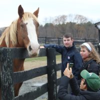 Thank you for spending your weekends with Equine Advocates