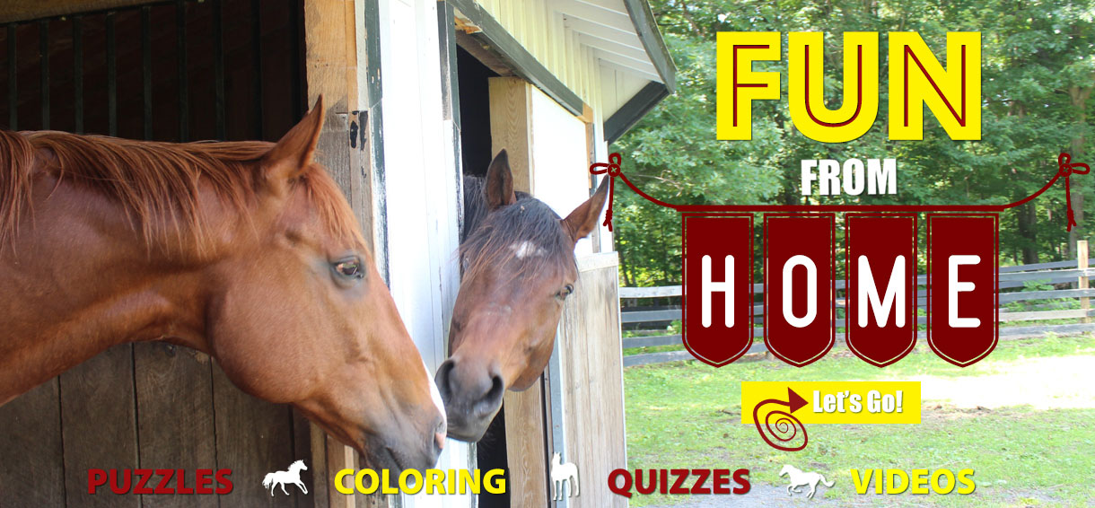 You are currently viewing Check Out Equine Advocates’ New Tutorial Videos