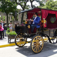 “Put these steeds out to pasture” OP-ED by Susan Wagner, Elizabeth Forel