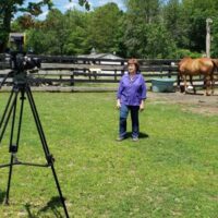 Equine Advocates featured on NEWS10 ABC’s ‘Horse Heroes’