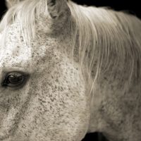 Lumina Open Studio – August 25 – Rhinebeck, NY