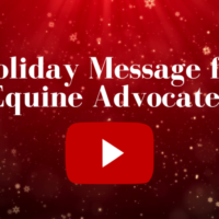 Happy Holidays from ﻿Equine Advocates!