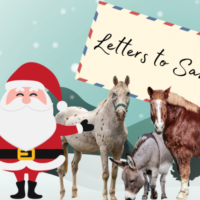 Letters to Santa 2021