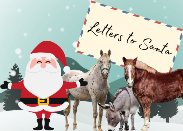 You are currently viewing Letters to Santa 2021