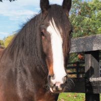 Public Open Days are back! View 2022 Schedule