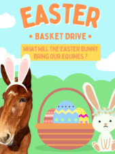 ‘Equines and Eggs’ Easter Basket Drive