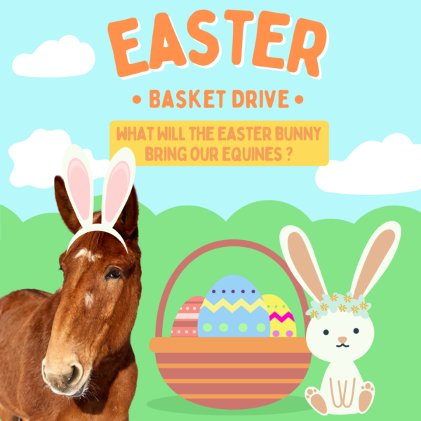 You are currently viewing ‘Equines and Eggs’ Easter Basket Drive 2022
