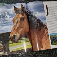 Equine Advocates featured in The Mountains Magazine Premiere Issue