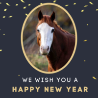 A New Year’s Message from Equine Advocates