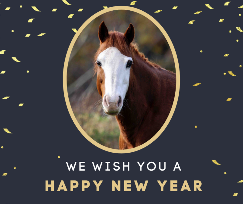 You are currently viewing A New Year’s Message from Equine Advocates