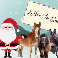 Letters to Santa 2022!