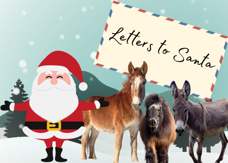 You are currently viewing Letters to Santa 2022
