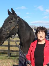 Equine Advocates Celebrates 27 Years of Rescuing Equines