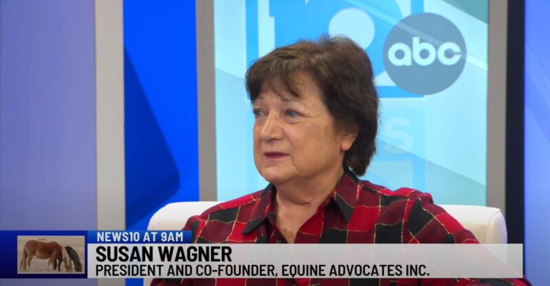 You are currently viewing Susan Wagner discusses National Horse Protection Day on NEWS10 ABC